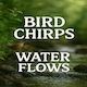 Bird Chirps Water Flows - AudioJungle Item for Sale